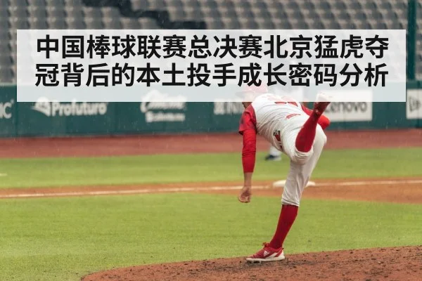 中国棒球联赛总决赛北京猛虎夺冠背后的本土投手成长密码分析