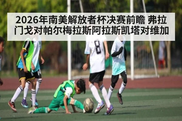 2026年南美解放者杯决赛前瞻 弗拉门戈对帕尔梅拉斯阿拉斯凯塔对维加