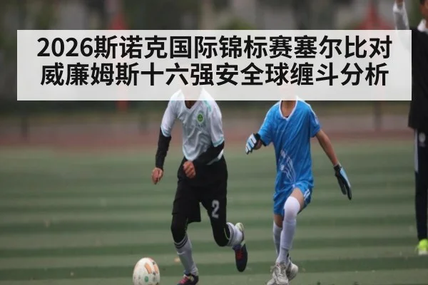 2026斯诺克国际锦标赛塞尔比对威廉姆斯十六强安全球缠斗分析